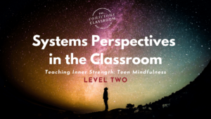 Systems Perspectives in the Classroom - Inner Strength Teacher Training